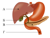 Знімок екрана 2026-04-02 141155.png