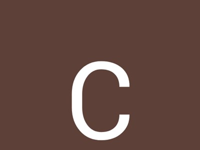София Брынза