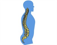 хребет постава.jpg