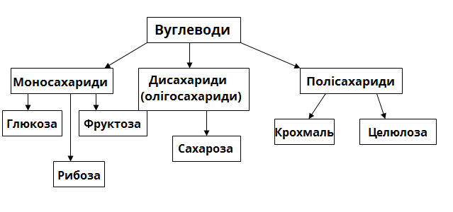 вуглеводи.png