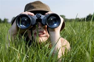 наблюдение 2.jpg