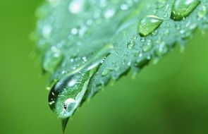 15-06-2017 21-55-09.jpg