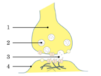 Знімок екрана 2026-03-31 222951.png