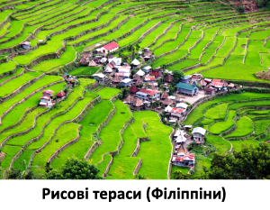Рисовые террасы (Филиппины) 2.png