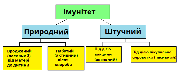 імунітет.png