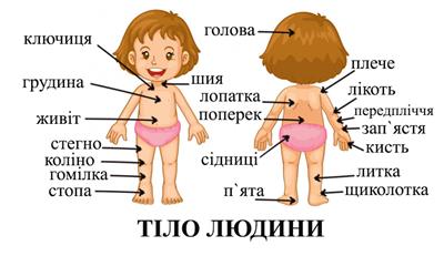 тіло.jpg