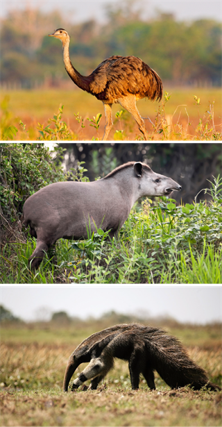 Ресурс 12213j.png