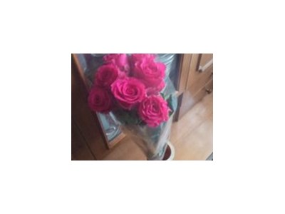 Владислав Мандрик