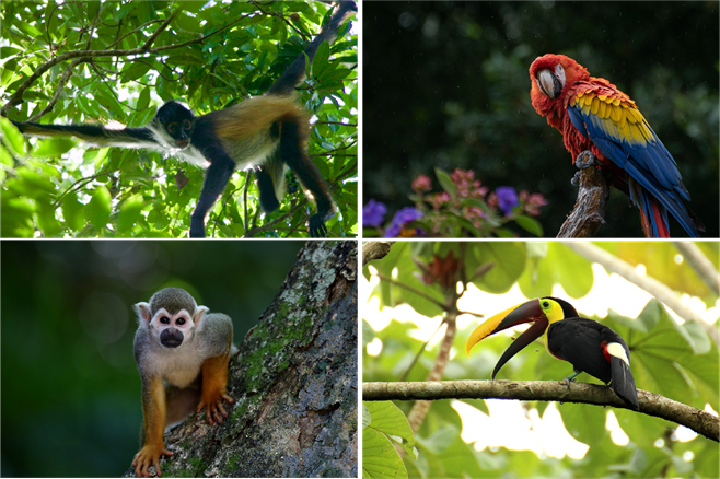 Ресурс 1221.png