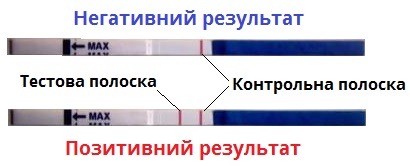 тест.jpg