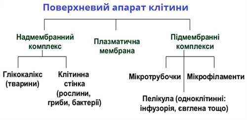 поверхневий апарат.png