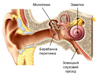 Знімок екрана 2026-04-01 204956.png