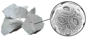 мел под микроскопом 2.png