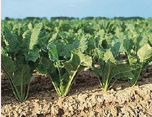 29-03-2017 17-49-43.png