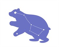 велика ведм.jpg