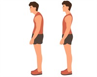 неправиьна і правильна постава.jpg