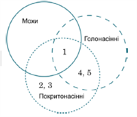 Знімок екрана 2026-04-01 200024.png