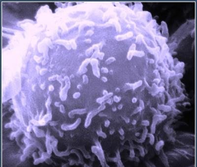 електронний мікроскоп2.png