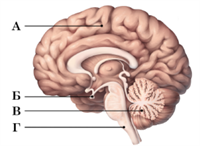 Знімок екрана 2026-04-02 140808.png