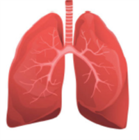 Знімок екрана 2026-04-01 223416.png