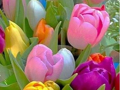 Галина Миколаївна Овсянка