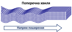 Поперечная волна 2.png