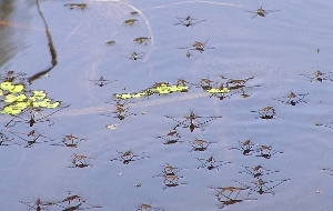 15-06-2017 21-55-51.jpg