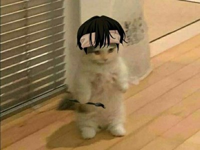 Анастасія Богоніс