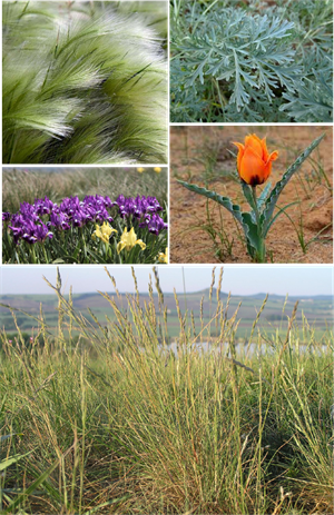 Ресурс 5ll33.png