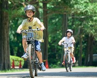 велосипед діти.jpg