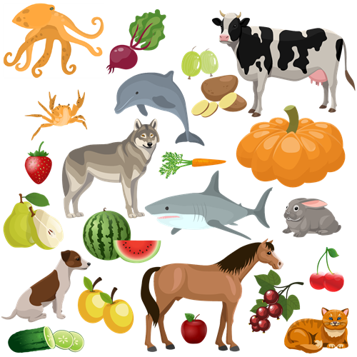 Збери групу 1.png