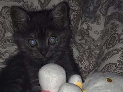 Катерина Осьмак