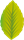 YCUZD2311175785laukumsP2.png