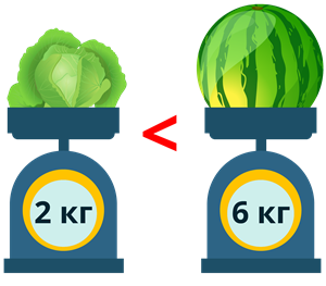 2-6 кг.png