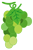 виноград2.png