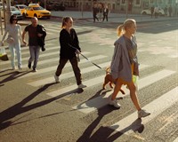 пішохідний перехід.jpg