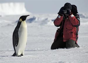 описание 2.jpg