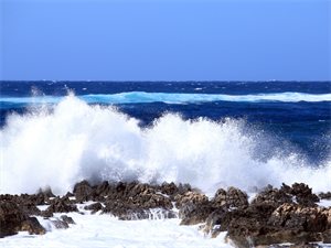 bangojoša jūra 1.png