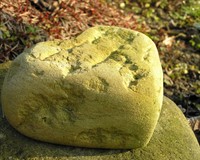 нежива природа.jpg