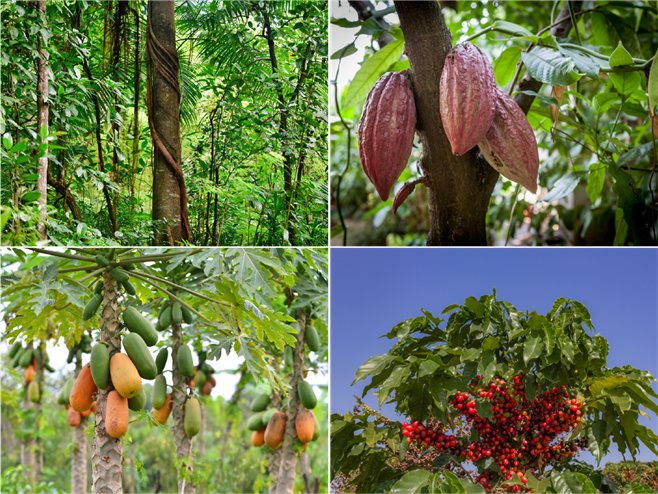 Ресурс 5221.png