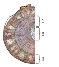 Знімок екрана 2026-04-01 195125.png