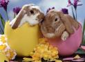 easter.jpg