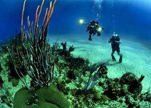 описание 1.jpg