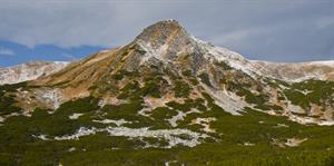 гутин томнатик чорногора.jpeg