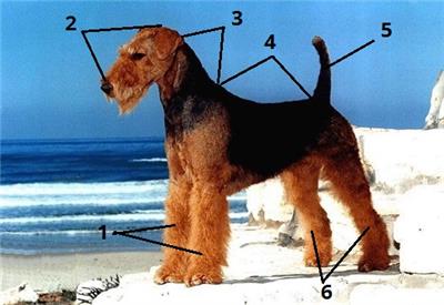 тіло цифри12.jpg