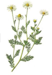 Знімок екрана 2026-04-01 215944.png