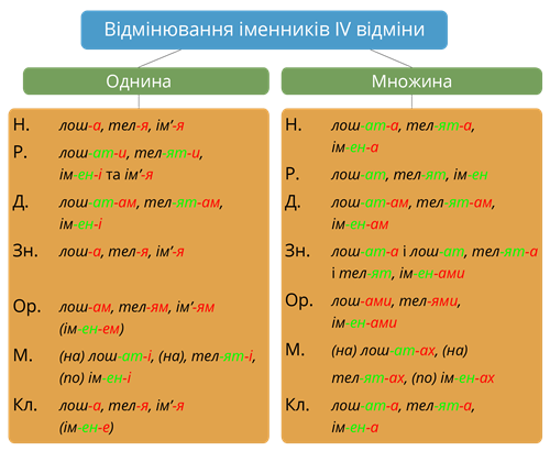 Відмінювання IV відміни.png