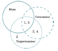 Знімок екрана 2026-04-01 195950.png