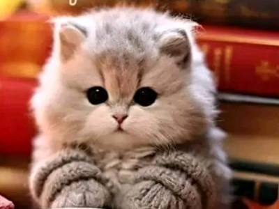 Тетяна Григорівна Бірук