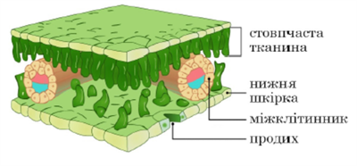 Знімок екрана 2026-04-02 134924.png